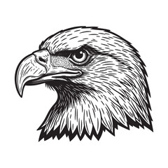 bald eagle head illustration, symbol of strength and American freedom