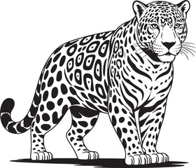 Fototapeta premium Jaguar silhouette line art illustration stock photos royalty free image premium quality