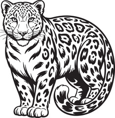 jaguar silhouette line art illustration stock photos royalty free image premium quality