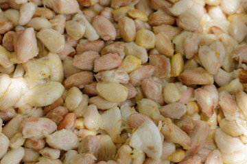 Fresh cocoa beans that have been removed from the pods before being fermented.