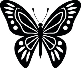 butterfly vector illustration