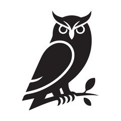 owl sitting on branch