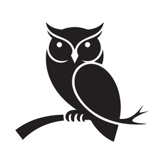 owl sitting on branch