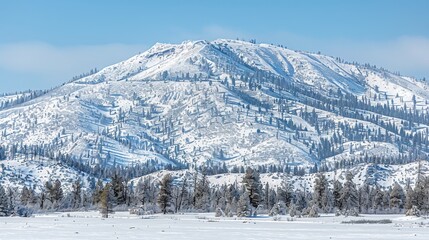 Majestic Snow-Covered Mountain Landscape on a Clear Winter Day with Frosty Trees and Blue Sky