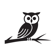 owl on a branch