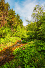 Hiking in Canyon in Prosiecka Valley near Kvacianska valley in Liptov region in northern Slovakia