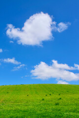 草原と大空（北海道・美瑛町）