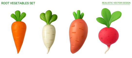 Realistic vector illustration of root vegetables set including carrot, radish, daikon, and sweet potato. Vegetable, root, fresh, healthy, organic, farm, cooking, harvest, agriculture