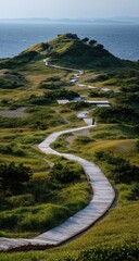 Obraz premium Winding boardwalk path through grassy dunes, overlooking a hazy ocean