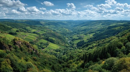 Naklejka premium Panoramic valley view, lush green hills, vineyards, river, and clouds