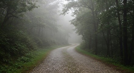 Obraz premium Winding Gravel Road Through Misty Forest Landscape