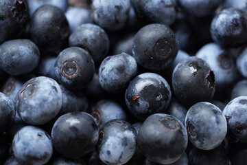 摘み取ったブルーベリーの実