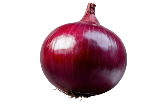 Fresh organic onion isolated on transparent background highlighting natural colors and textures of this essential cooking vegetable perfect for culinary dishes