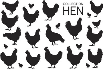 Hen silhouettes collection, poultry vector illustration, farm animal graphic, black white chicken breeds, cad drawing flat vector illustration
