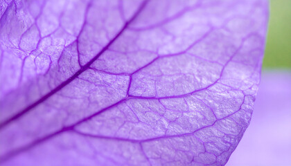 Fototapeta premium this macro shot captures the intricate detail of a violet petal. the petal's textured surface and prominent veins create a stunning visual pattern