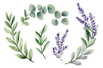 Watercolor artwork featuring delicate eucalyptus leaves and lavender flowers arranged gracefully in an organic composition