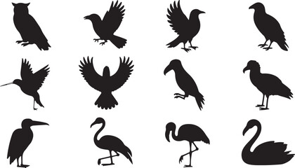 Collection of black bird silhouettes in various poses and species