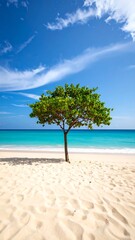 Lone tree on a pristine beach under a vibrant blue sky