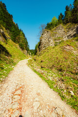 Peak Tri Koruny or Trzy Korony during day with green meadow and trees in spring. Pieniny National park in Slovakia and Poland © Zedspider