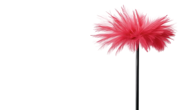 Modern Whiteboard Cleaner