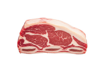 Single raw bone-in beef short rib with deep red muscle, creamy fat marbling, clean bone, isolated on transparent background, diffused studio light. Culinary potential