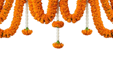 Marigold Garland Elegance: An exquisite close-up showcases a vibrant orange marigold garland, a symbol of celebration. This image evokes feelings of joy and festivity.
