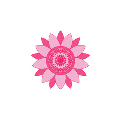 "A delicate pink flower with soft translucent petals on a pure white background, captured in a minimalist and serene composition."