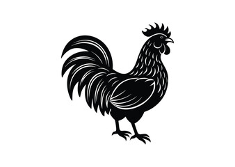 Fototapeta premium Rooster cock silhouette black vector white background