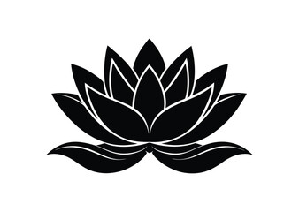 Fototapeta premium A sleek water lily silhouette black vector white background