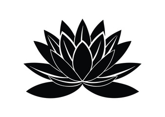 Fototapeta premium A sleek water lily silhouette black vector white background