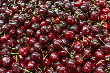 Fresh cherries piled high showcasing the bounty of summer harvest. Glossy red cherries arranged in abundance at a local market. Juicy cherries symbolizing the sweetness and richness of life.