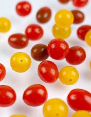 Obraz premium Colorful cherry tomatoes scattered on a white background