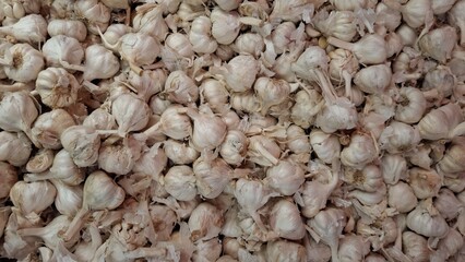 Fresh Organic Garlic Bulbs Background – White Garlic Cloves for Cooking, Herbal Remedies, Natural Food, Agriculture, and Culinary Ingredient Concepts