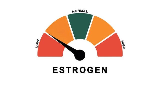 Animated estrogen level meter decreasing from normal to low level, for concepts related to low estrogen, hormone imbalance, and women&rsquo;s health awareness