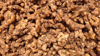 Organic Fresh Ginger Roots Background – Raw Brown Ginger Rhizomes for Cooking, Ayurveda, Herbal Medicine, Natural Remedies, and Farm Produce Stock Photography