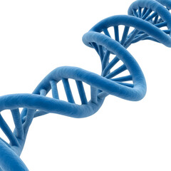 dna strand on white background