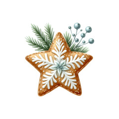 Obraz premium Star Cookie with Icing Isolated