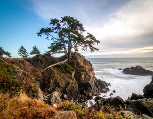 Coastal crag with lone tree