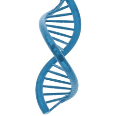 dna strand on white background