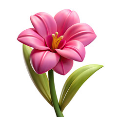 Fototapeta premium Vibrant pink lily flower with green leaves on white background