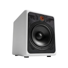Obraz premium White monitor speaker with black components.