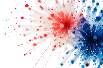 Colorful blue and red fireworks burst against a white background celebrating a festive occasion