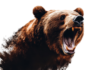 Ferocious brown grizzly bear roaring fiercely in a dramatic pose showcasing its strength and power against a transparent background