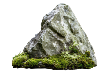 Natural tall rock covered in lush green moss found in a tranquil setting, showcasing the beauty of unspoiled nature during daylight hours