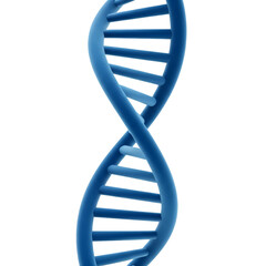 dna strand on white background