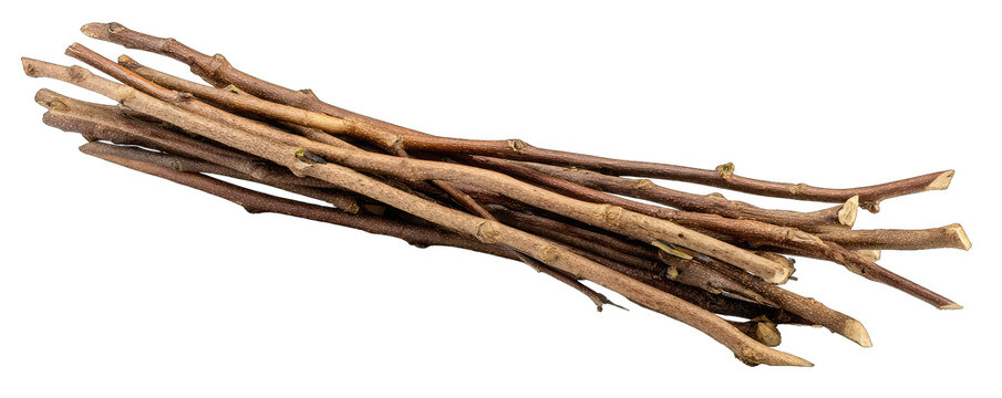 A bundle of slender, light brown twigs