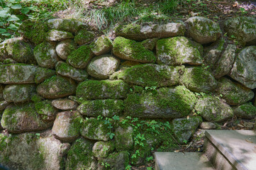 Moss covered natural stone wall in a shaded garden with dappled sunlight and hints of greenery