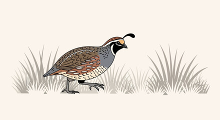 Fototapeta premium Detailed Illustration of a Quail Walking Through Tall Grass in a Natural Setting