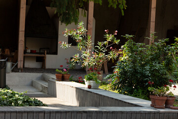 Naklejka premium Outdoor garden scene.