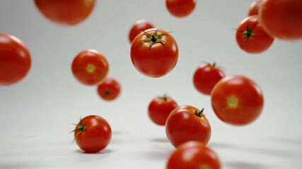 La Tomatina tomatoes on a vine cherry tomatoes on a vine red tomatoes on a vine